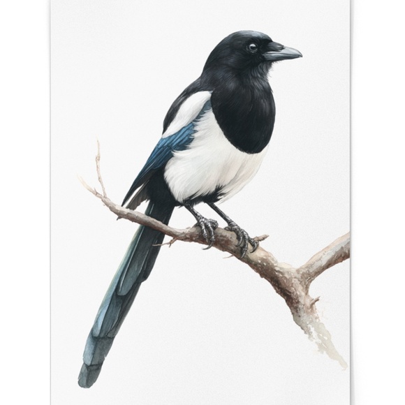 Watercolor Magpie Bird Wall Art Print, Unframed - Elegant Nature-Inspired Decor - Picture 2 of 6
